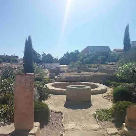 Soleil Sucre T2 Centre Historique De Narbona