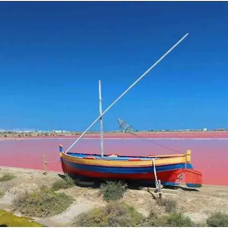 Soleil Sucre T2 Centre Historique De Narbona