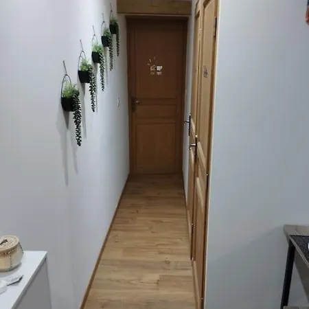 Apartment Soleil Sucre T2 Centre Historique De